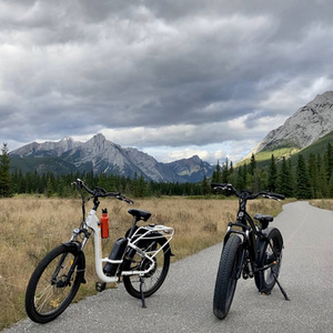 2018 Rad Power Bikes Rad Rover Fat tire Black