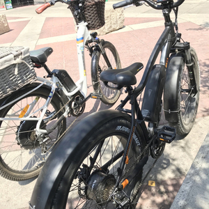 2018 Rad Power Bikes Rad Rover Fat tire Black