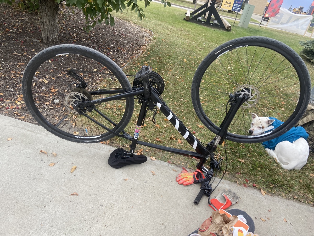 Bike photo