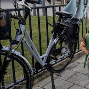 2016 Gazelle Eclipse Silver, gray or bare metal