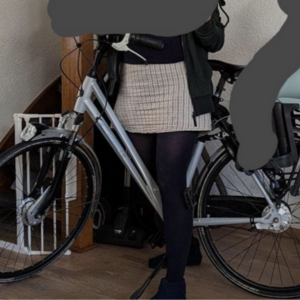 2016 Gazelle Eclipse Silver, gray or bare metal