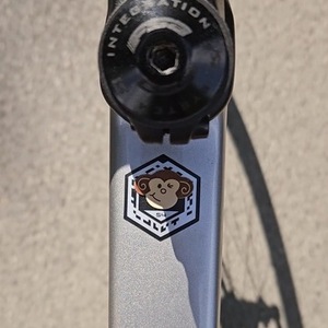 2021 Cannondale SuperSix Evo Silver, gray or bare metal