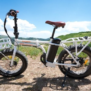 2016 Rad Power Bikes RadMini White