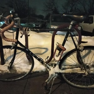 Miyata Black and White