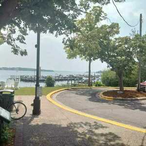 Miyata Black and White