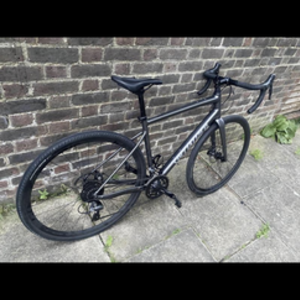 Specialized Diverge E5 Silver, gray or bare metal