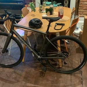 Specialized Diverge E5 Silver, gray or bare metal