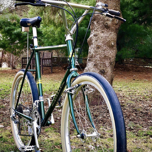 1987 Gary Fisher Mt. Tam Green