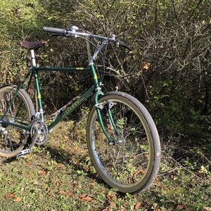 1987 Gary Fisher Mt. Tam Green