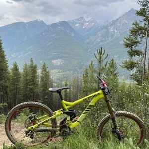 2013 Commencal Bikes Supreme DH Yellow or Gold