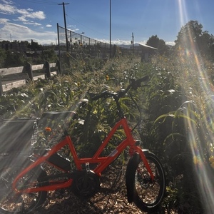 2022 Tern Orange and Red
