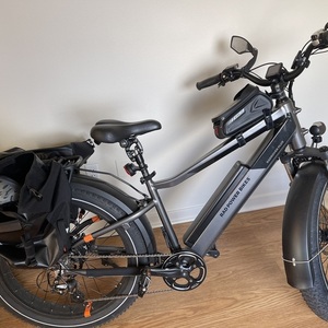 2022 Rad Power Bikes Radrover 6 plus Black