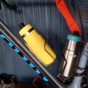 2019 Niner RLT 9 RDO Black and Blue