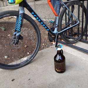 2019 Niner RLT 9 RDO Black and Blue