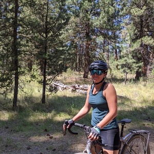 2020 Niner RLT Silver, gray or bare metal