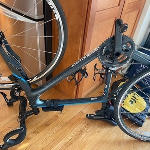 2015 Specialized Ruby Elite Rim 54 Silver, gray or bare metal and Teal