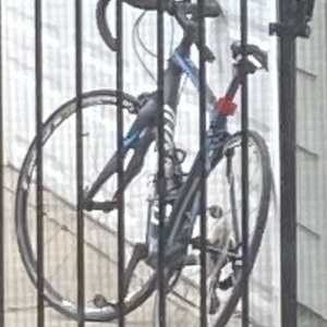 2015 Specialized Ruby Elite Rim 54 Silver, gray or bare metal and Teal