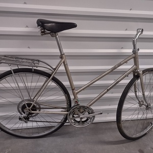 2023 Panasonic Sport 1000 Silver, gray or bare metal