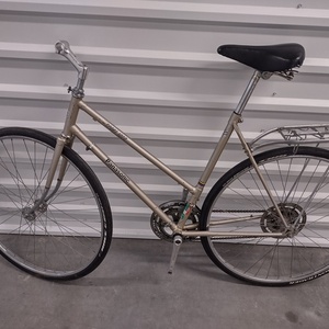 2023 Panasonic Sport 1000 Silver, gray or bare metal