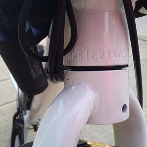 2022 Rad Power Bikes Radmission White