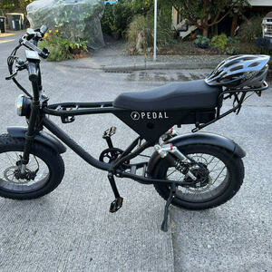 2022 Pedal Electric Black