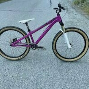 2019 Unknown Befly air one Dema Pink