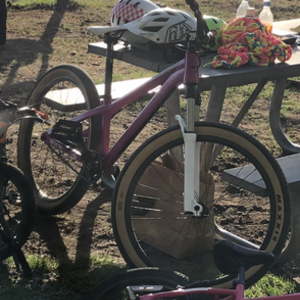 2019 Unknown Befly air one Dema Pink