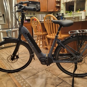 2022 Gazelle Arroyo C8 HMB Elite Silver, gray or bare metal