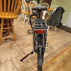 2022 Gazelle Arroyo C8 HMB Elite Silver, gray or bare metal