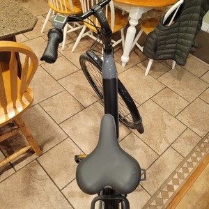 2022 Gazelle Arroyo C8 HMB Elite Silver, gray or bare metal