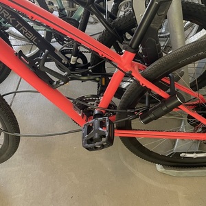 Specialized Ariel Pink