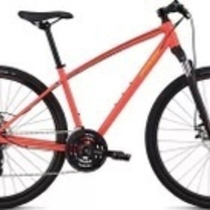 Specialized Ariel Pink