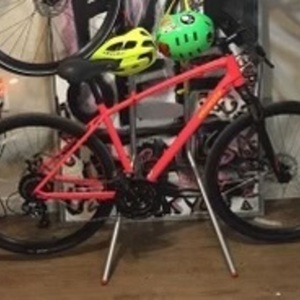Specialized Ariel Pink