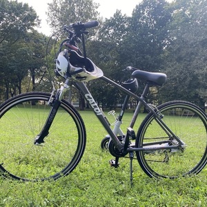 2022 Caloi Silver, gray or bare metal