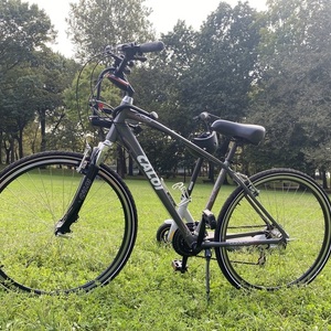 2022 Caloi Silver, gray or bare metal