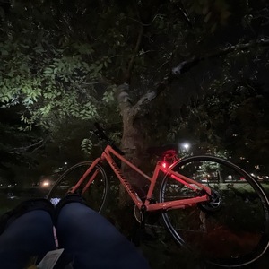 2021 Specialized ISO 4210-2-2014-C Pink