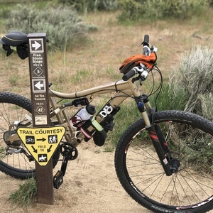 Diamondback Recoil Yellow or Gold