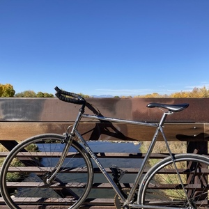 1979 Austro Daimler Vent Noir II Silver, gray or bare metal