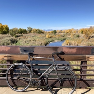 1979 Austro Daimler Vent Noir II Silver, gray or bare metal