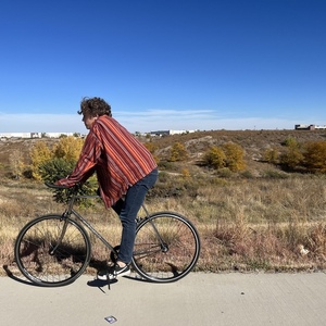 1979 Austro Daimler Vent Noir II Silver, gray or bare metal