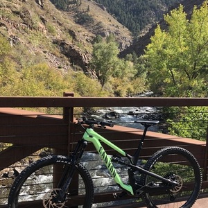 2021 Canyon bicycles Spectral 29 Green and Black