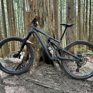 2022 Specialized Stumpjumper Evo Silver, gray or bare metal