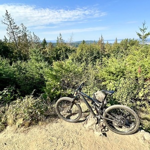 2022 Specialized Stumpjumper Evo Silver, gray or bare metal