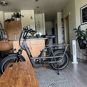 2023 Rad Power Bikes Rad Runner Plus 3 Silver, gray or bare metal