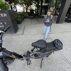 2023 Rad Power Bikes Rad Runner Plus 3 Silver, gray or bare metal