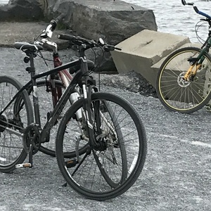 Trek 8.3 DS Black
