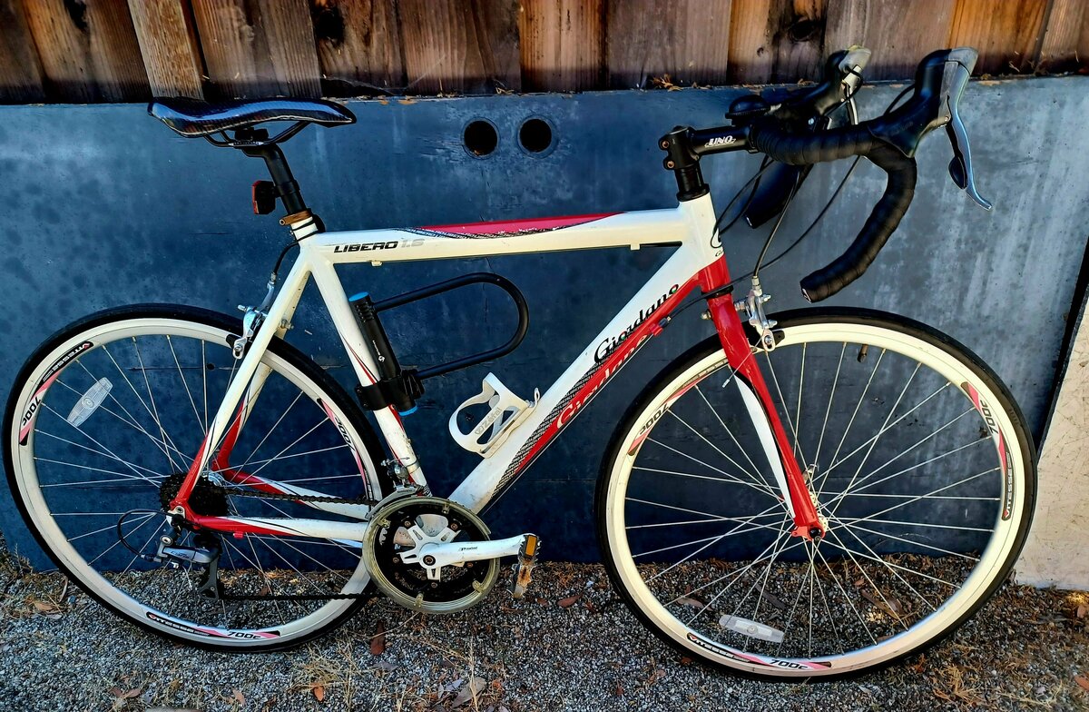 giordano bike libero