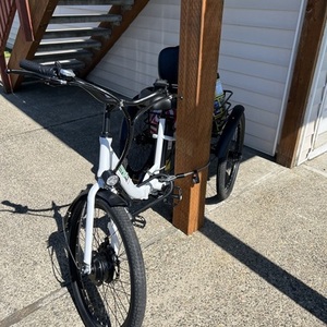 Other tricycle White