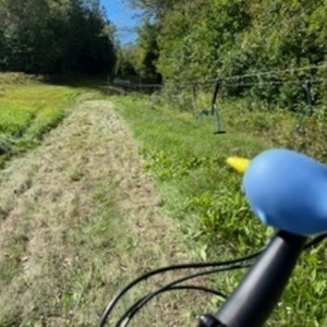 2019 Santa Cruz Bronson Silver, gray or bare metal and Black