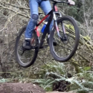 2019 Giant Fathom 29 2 Black and Red